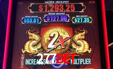 A Experiência Imersiva dos Cassinos Ao Vivo no 277bet
